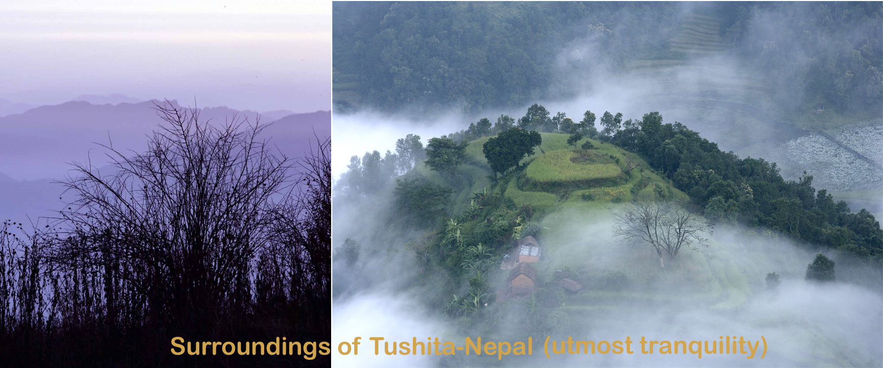 Book yoga retreats in Nepal